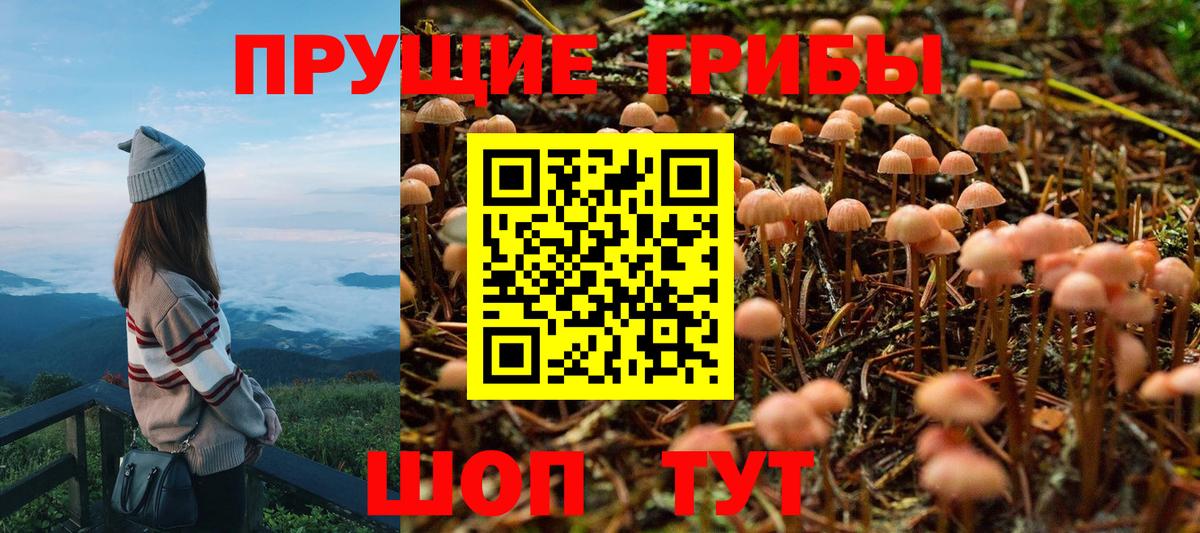 цены   Псилоцибиновые грибы мухоморы  Галлюциногенные грибы Cubensis  Вход с VPN  Берёзовский 