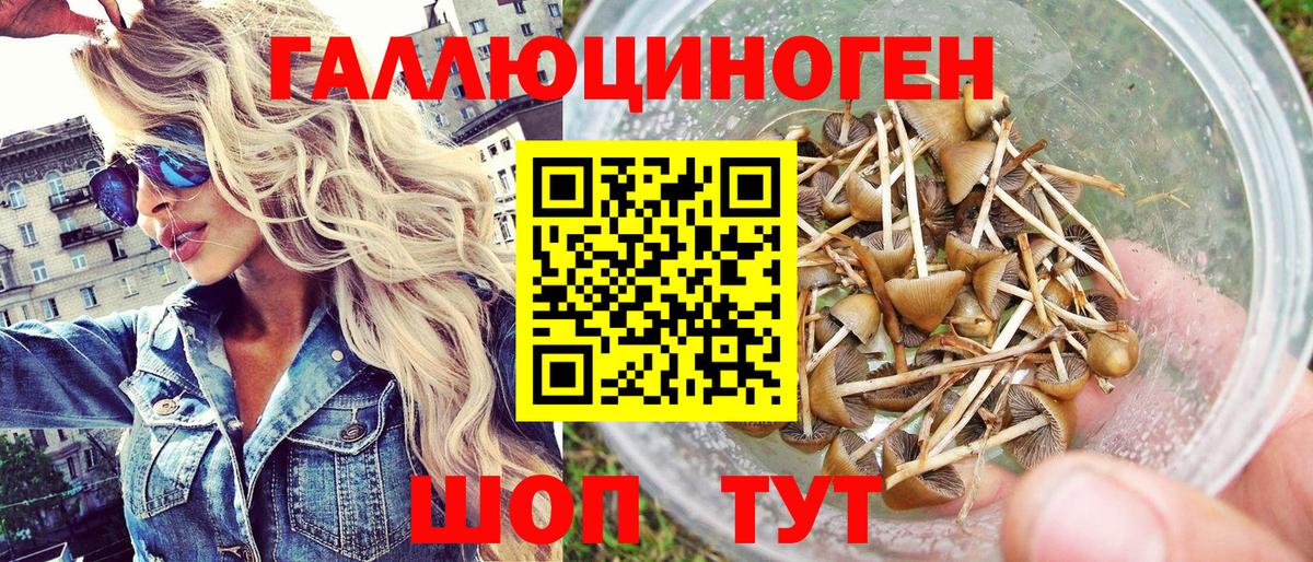 Галлюциногенные грибы ЛСД Берёзовский